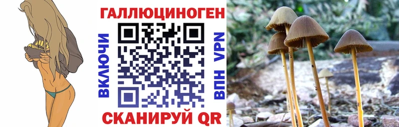 хочу наркоту  Железноводск  Псилоцибиновые грибы GOLDEN TEACHER 