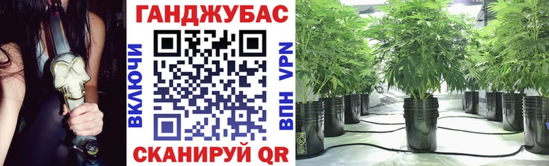 ОМГ ОМГ ссылка  Железноводск  Канабис Amnesia 